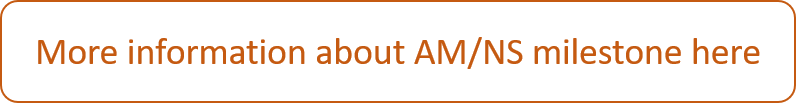 More information about AM/NS milestone here